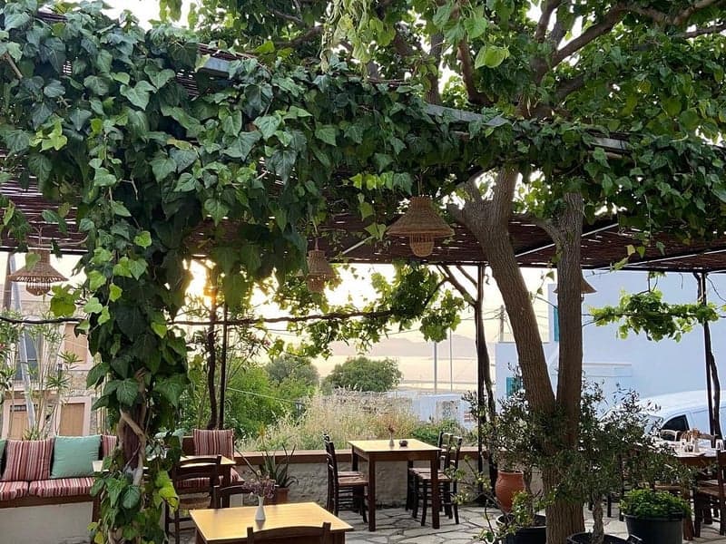 Traditional Taverns in Zia